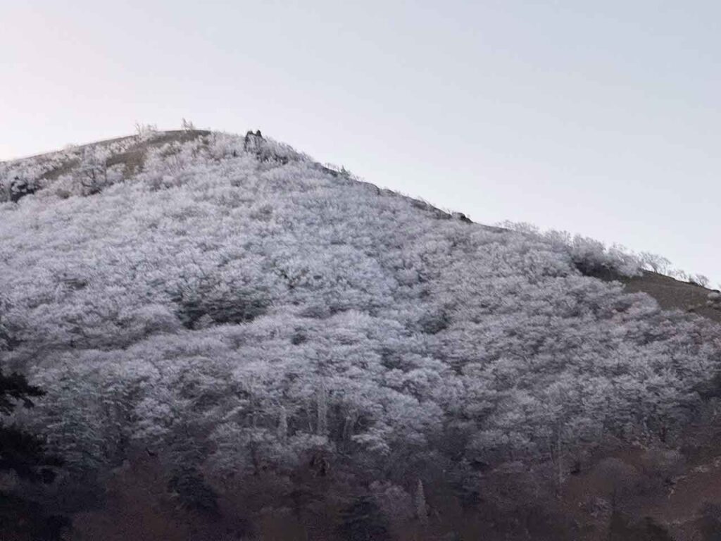 西島駅すぐ下から撮った剣山頂上の霧氷