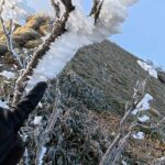 剣山・次郎笈にある木についた霧氷