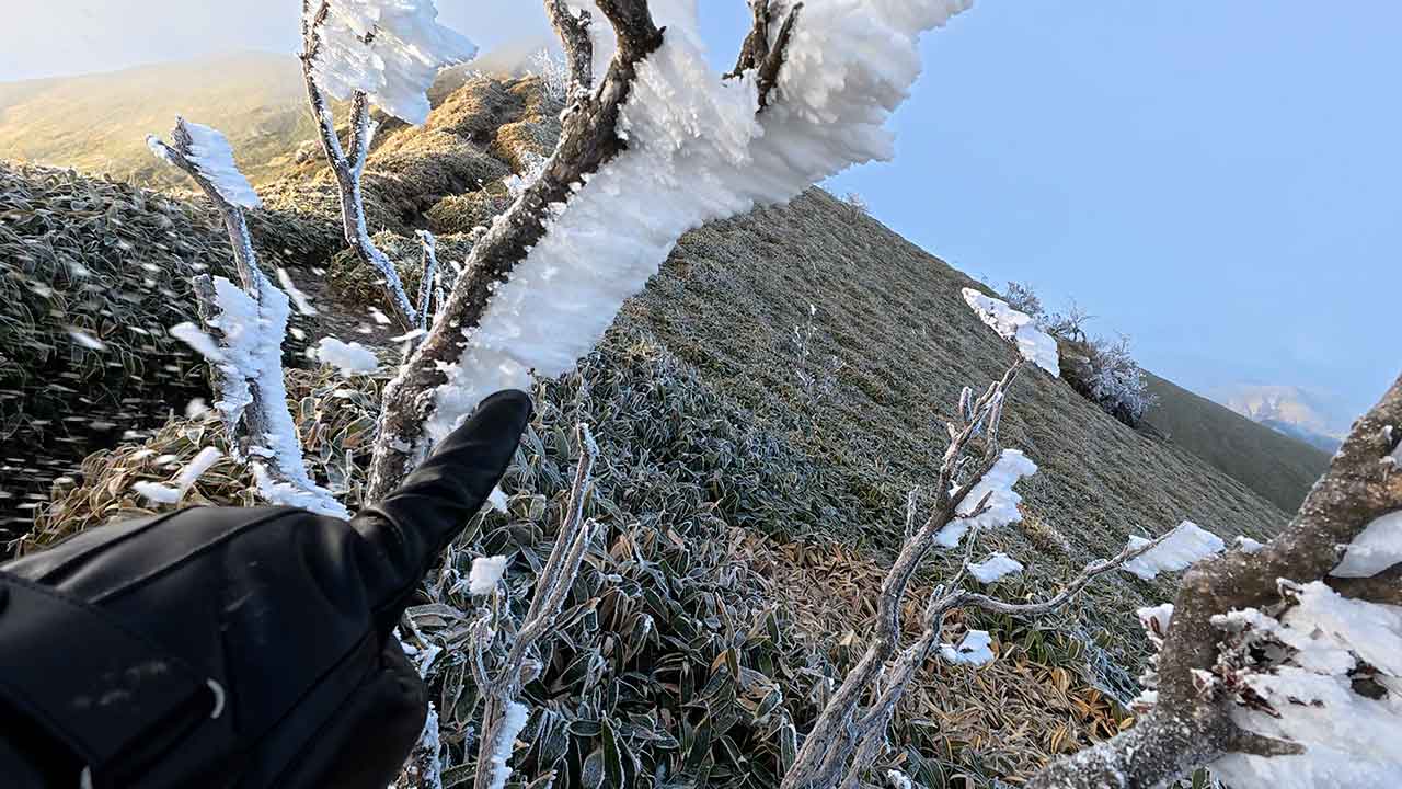 剣山・次郎笈にある木についた霧氷