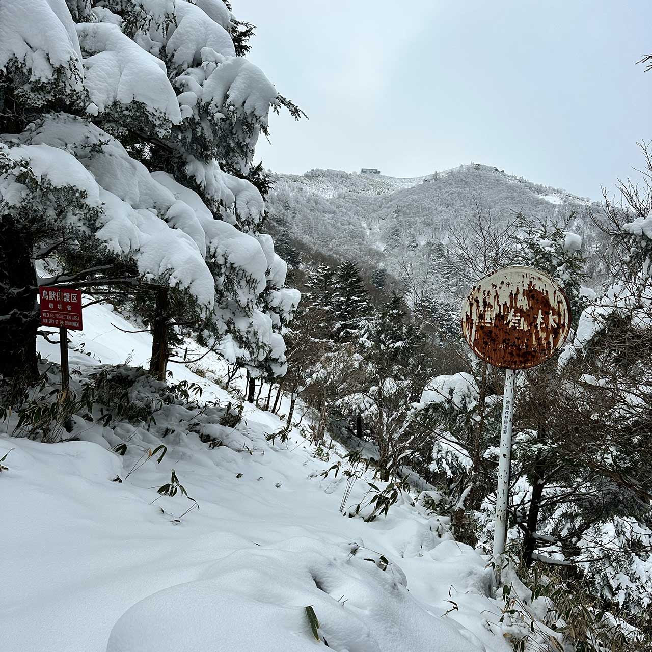 2024年12月17日、冬の剣山に登山挑戦